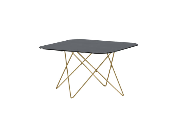 Coffee table TRISTAR 80x80cm-Glass Black