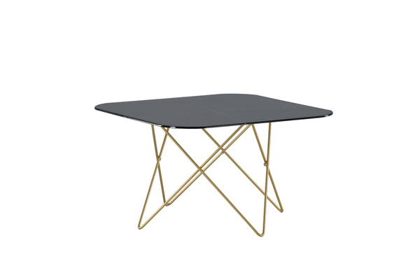 Coffee table TRISTAR 80x80cm-Glass Black