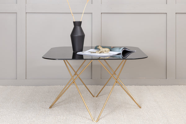 Coffee table TRISTAR 80x80cm-Glass Black