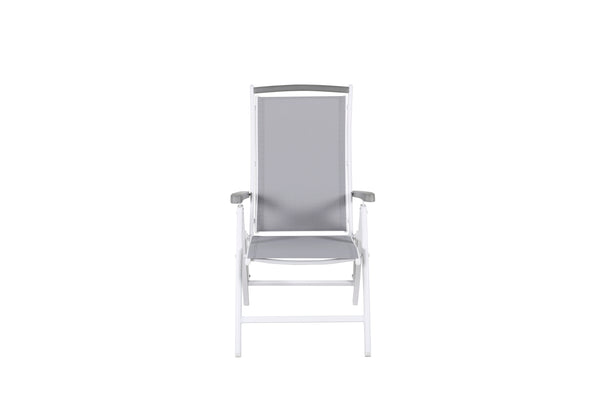 ALBANY Position chairs 2 pcs White/Grey