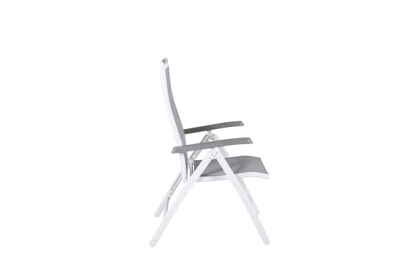 ALBANY Position chairs 2 pcs White/Grey